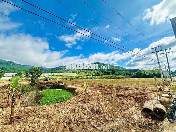 🔥 BÁN ĐẤT VIEW ĐẸP CHÍNH CHỦ – MẶT TIỀN CAO TỐC LIÊN KHƯƠNG – PRENN 🔥