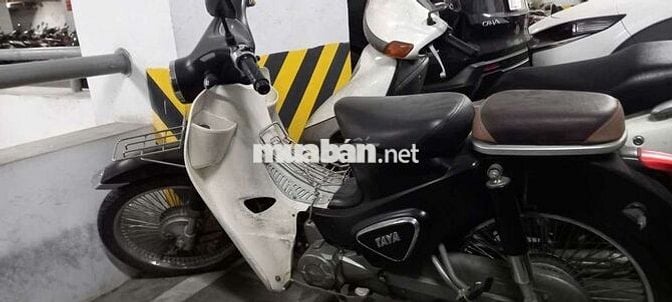 Taya Cub Motor 2019 Đen, Trắng