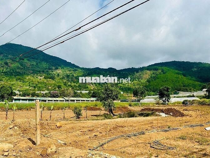 🔥 BÁN ĐẤT VIEW ĐẸP CHÍNH CHỦ – MẶT TIỀN CAO TỐC LIÊN KHƯƠNG – PRENN 🔥