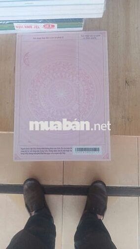ĐẤT GIÁ RẺ THỦ TỤC NHANH TRONG NGÀY