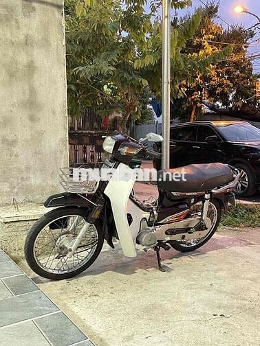 Honda Dream Nâu, Trắng Zin