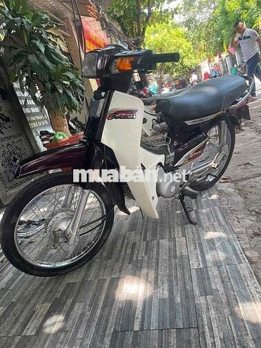 Honda Dream Việt 2012 Trắng, Nâu