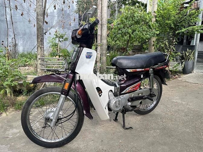 Honda Dream Nâu, Trắng Zin
