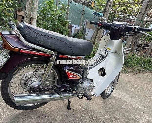 Honda Dream Nâu, Trắng Zin