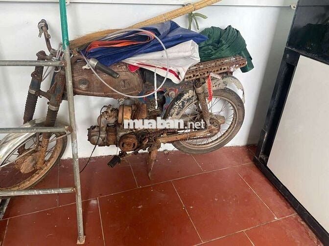 Honda 67 Nhiều màu