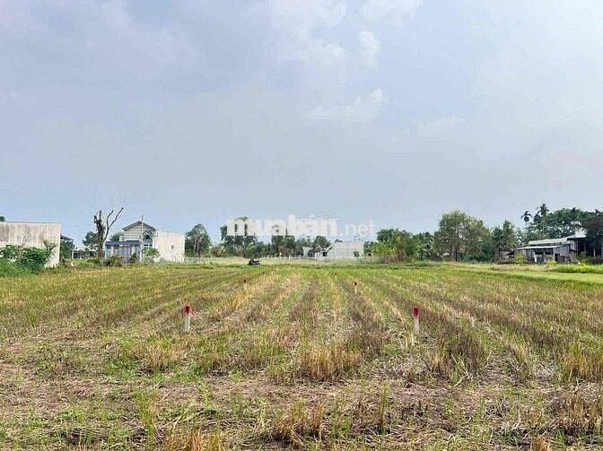 Đất xây Nhà Vườn 307m2 đường ô tô thông giá 1ty180