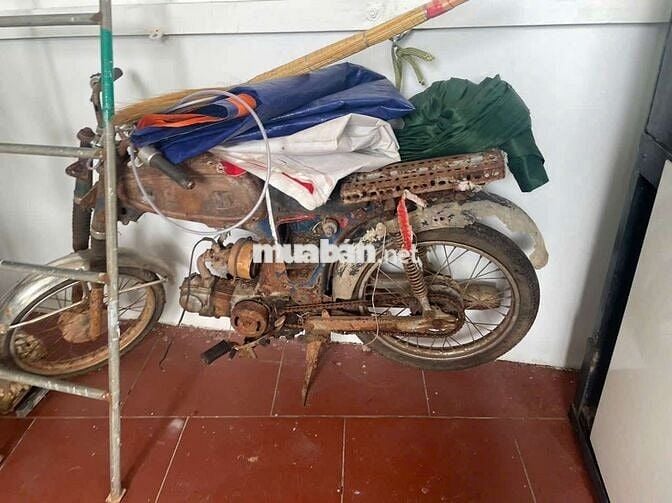 Honda 67 Nhiều màu