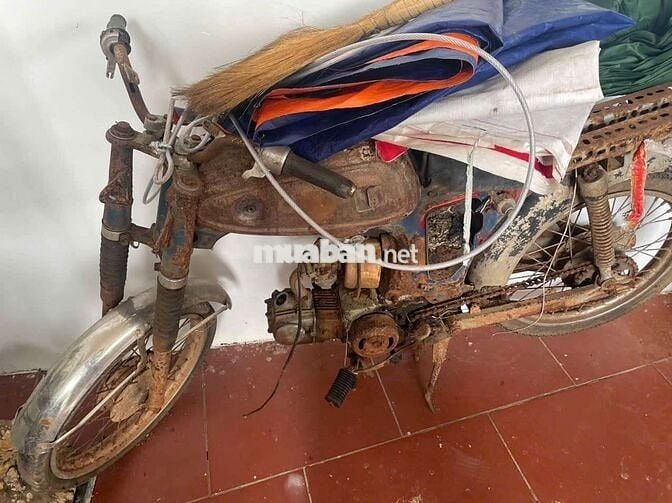 Honda 67 Nhiều màu
