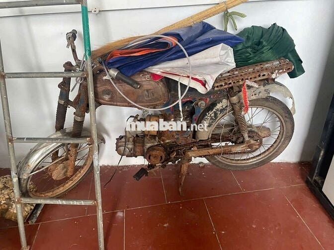 Honda 67 Nhiều màu