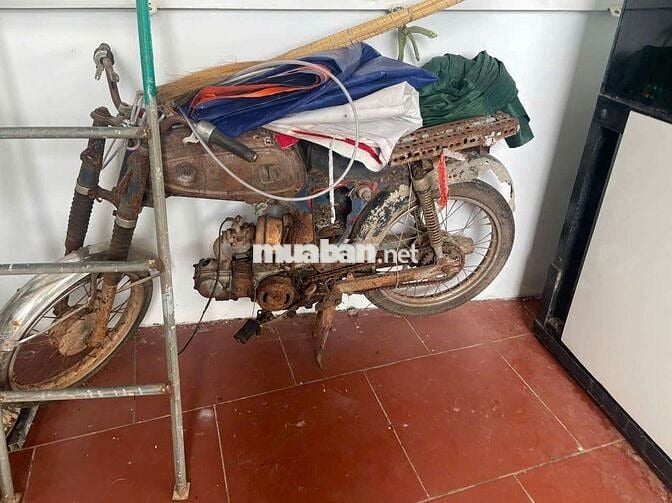 Honda 67 Nhiều màu