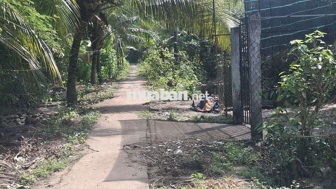 Chủ ở Sài Gòn bán nền đất giá rẻ đường đang làm ở phường 10 TP Mỹ Tho 