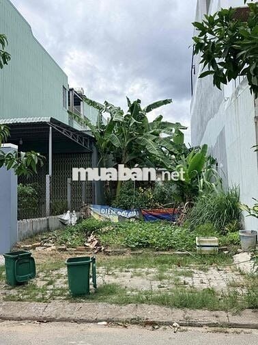 "Nếu anh chị đang tìm một lô đất trung tâm quận Cẩm Lệ, đường rộng, dâ
