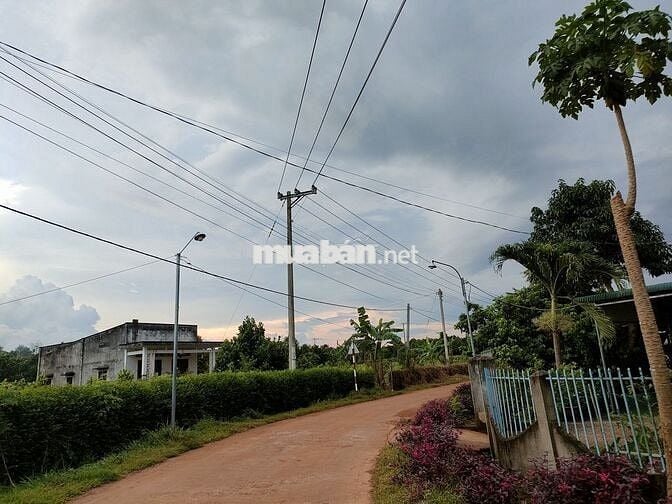 Bán nhanh 1000m2 chỉ 590tr đường ô tô gần trung tâm xã Suối Nho