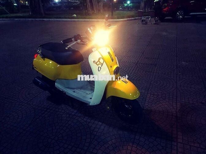 Cree 50cc Vàng, Trắng