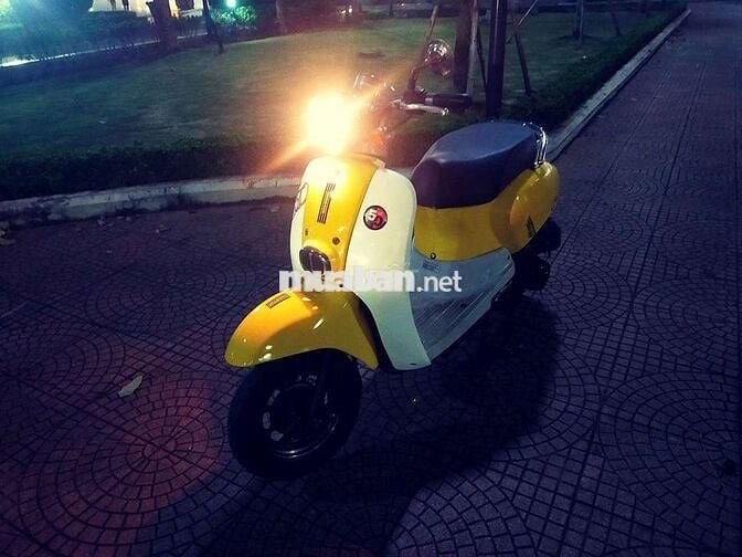 Cree 50cc Vàng, Trắng