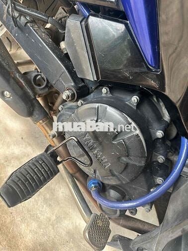 Exciter 135