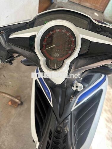 Exciter 135
