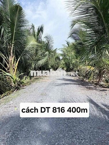 hàng hiếm gần dt816 thì lâu lâu mới có