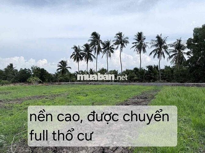 hàng hiếm gần dt816 thì lâu lâu mới có