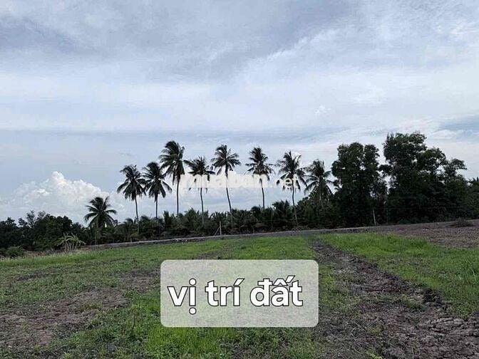 hàng hiếm gần dt816 thì lâu lâu mới có