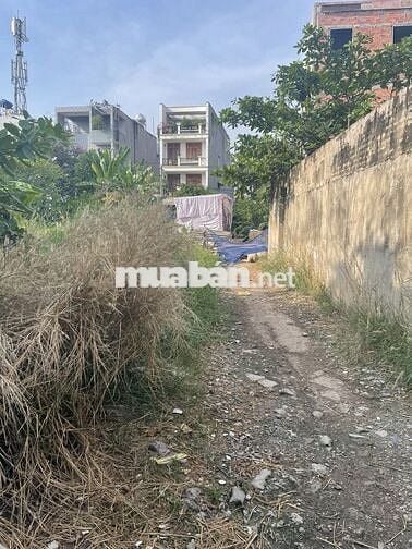 Bán đất Nông nghiệp Q12, 12x20 235 mét, 5,2 tỷ,khu dân cư Tân tiến