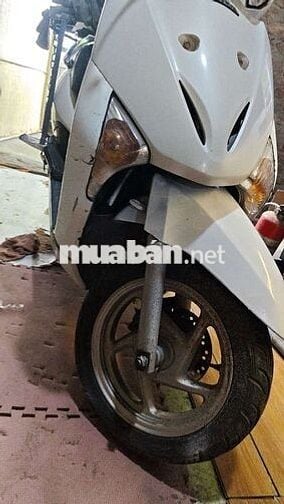 Honda Lead SRC 2008 Trắng Hà Nội