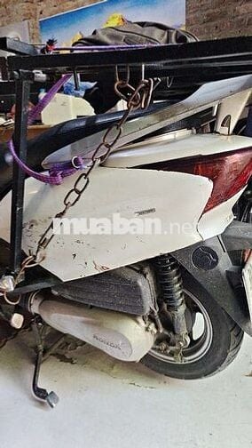 Honda Lead SRC 2008 Trắng Hà Nội
