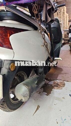 Honda Lead SRC 2008 Trắng Hà Nội