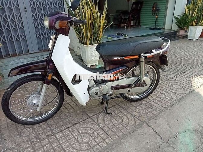 Dream vô nhìu đồ nhật máy bao yêm ru mạnh Có Đề 