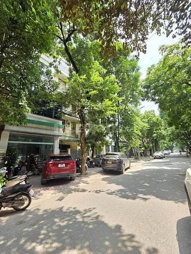 Bán nhà phố Trần Bình 105m, MT 6m, có vỉa hè, ô tô tránh, phân lô đẹp