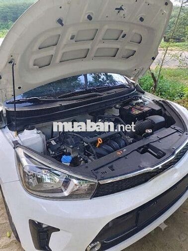 KIA SOLUTO 2022 MT Trắng