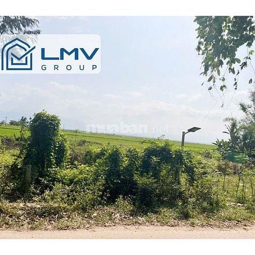 Bán đất mặt tiền tỉnh lộ 10c Vinh Hà 31m 