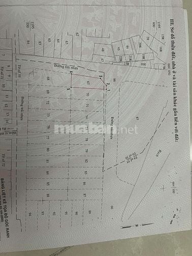 Cần đất góc 2 mặt hẻm xe hơi 160 đường Bùi Đình Túy