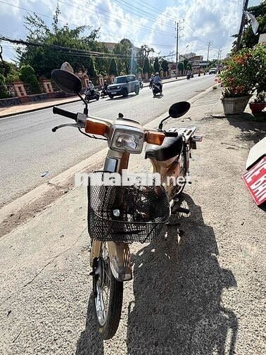 Honda Vàng đồng