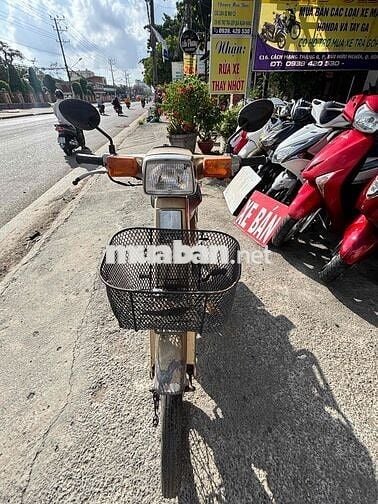 Honda Vàng đồng