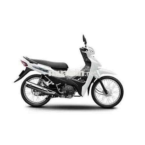 Honda Wave Alpha Trắng Mới