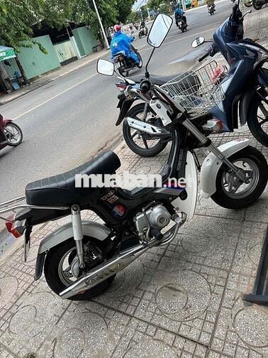 Honda Chaly Trắng Việt Thái