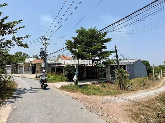 Chủ cần Bán gấp Lô  Đất ngợp An Hòa, Trảng Bàng, Tây Ninh 