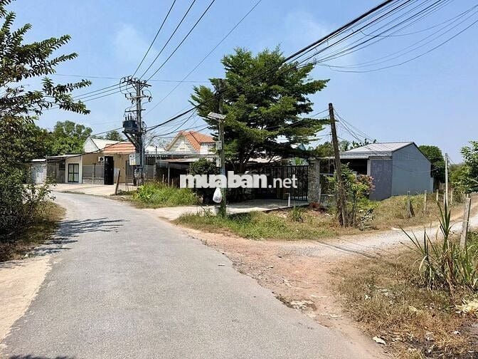 Chủ cần Bán gấp Lô  Đất ngợp An Hòa, Trảng Bàng, Tây Ninh 