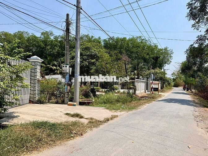 Chủ cần Bán gấp Lô  Đất ngợp An Hòa, Trảng Bàng, Tây Ninh 