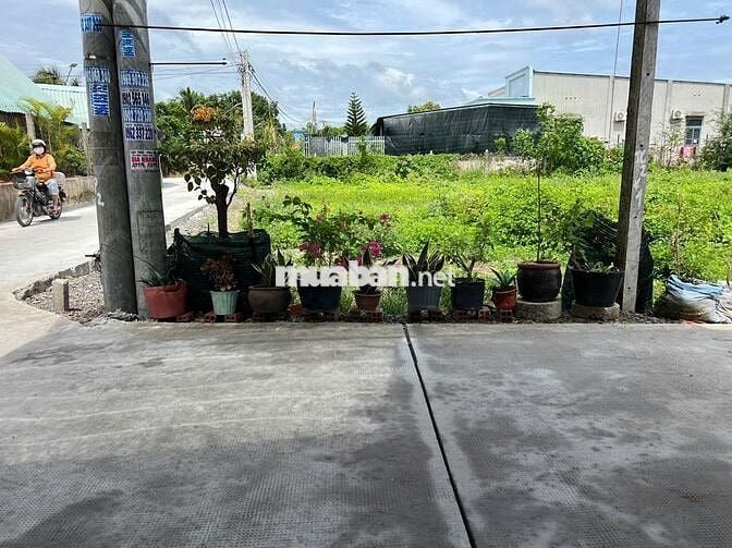 Chủ Gởi Lô Đất An Hòa, Trảng Bàng, Tây Ninh 