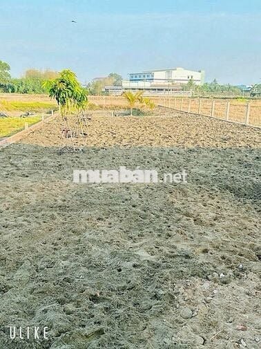 500m2 đất vườn có thể lên thổ gần trạm y tế Mỹ Lộc Cần Giuộc giá 600tr