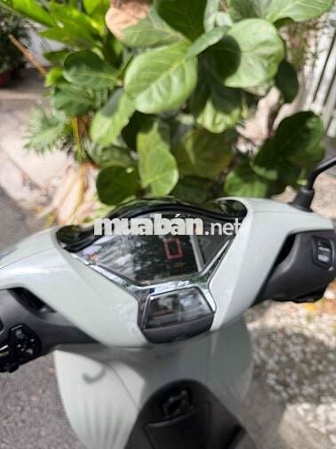 Honda SHVN 150 2023  ABS Xám xi măng Tự động