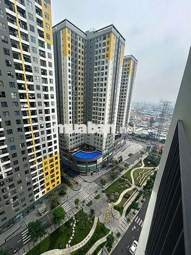 ⏳ Cọc trước 15/07 giữ giá 6,2 triệu – Sau 15/07 chỉ còn giá 6,5 triệu