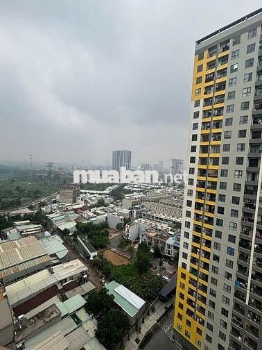 ⏳ Cọc trước 15/07 giữ giá 6,2 triệu – Sau 15/07 chỉ còn giá 6,5 triệu