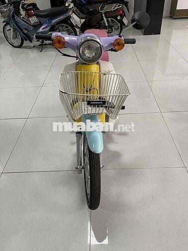 Dealim Cub Hàn Quốc Nhiều màu