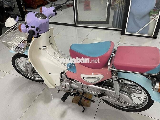 Dealim Cub Hàn Quốc Nhiều màu