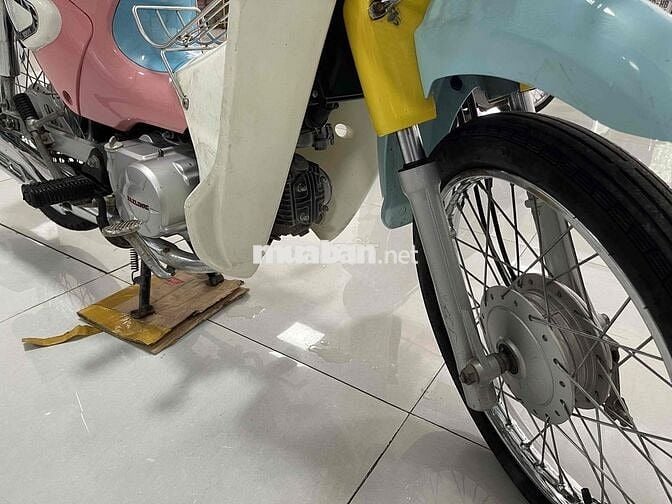 Dealim Cub Hàn Quốc Nhiều màu