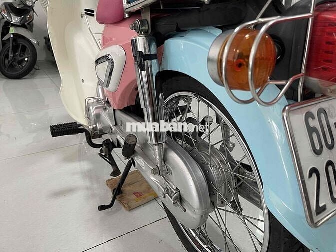 Dealim Cub Hàn Quốc Nhiều màu