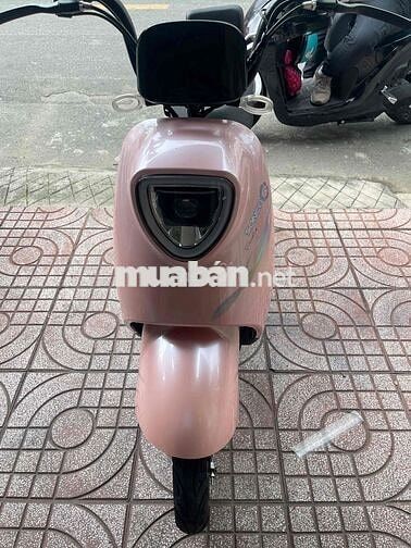 Xe đạp điện